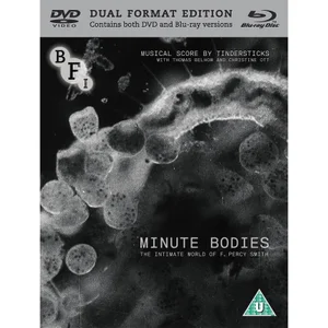 Minute Bodies