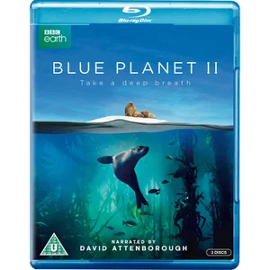 Blauer Planet II