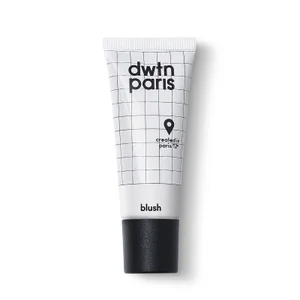 Dwtn Paris Highlighter