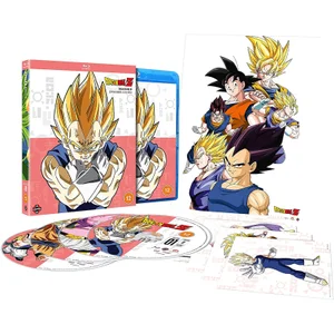 Dragon Ball Z: Seizoen 8