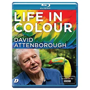 Life in Colour with David Attenborough