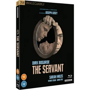 The Servant (Vintage Classics)