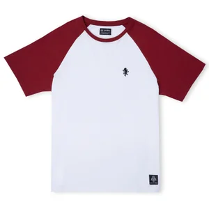 Gryffindor House Panelled T-Shirt - Burgundy