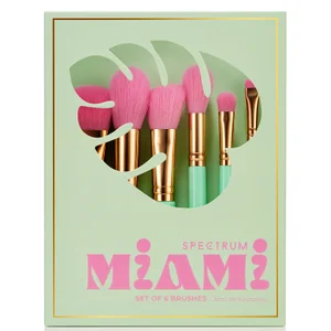 Spectrum Travel Books Miami 6 Piece Makeup Brush Set