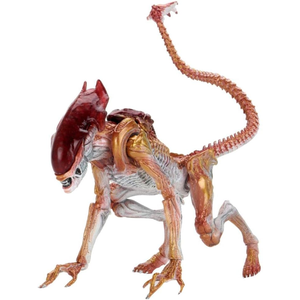 NECA NECA Aliens 7in Fig-Ultimate Kenner Tribute Panther Alien