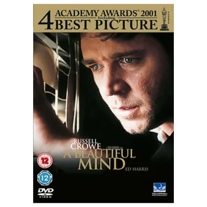 A Beautiful Mind