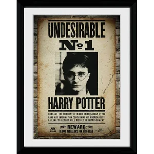 Harry Potter Undesirable No 1 - 30x40 Collector Prints