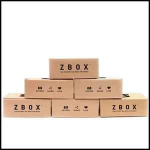 ZBOX 6 Month Subscription