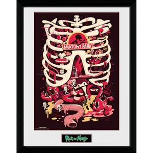 Rick and Morty Anatomy Park 12 x 16 Inches Framed Photograph