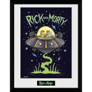 Rick and Morty Ship 12 x 16 Inches Framed Photograph
