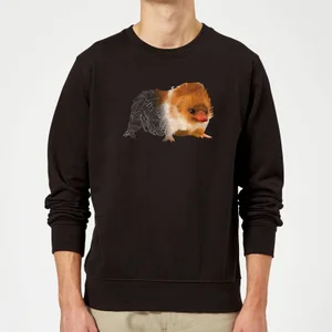 Fantastic Beasts Tribal Baby Niffler trui - Zwart