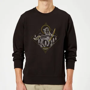 Harry Potter Ban de Centaur trui - Zwart