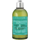Champú anticaspa L'Occitane - cuero cabelludo sensible 250ml