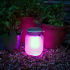 Pink SunJar Pink SunJar