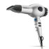 BaByliss PRO Max Dryer Silver
