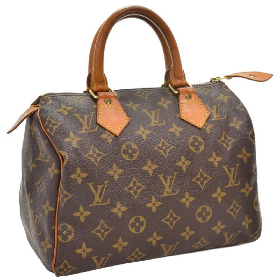 Louis Vuitton Vintage Canvas Speedy 25 City Bag