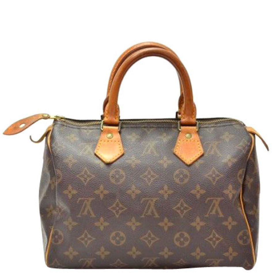 Louis Vuitton Vintage Canvas Speedy 25 City Bag