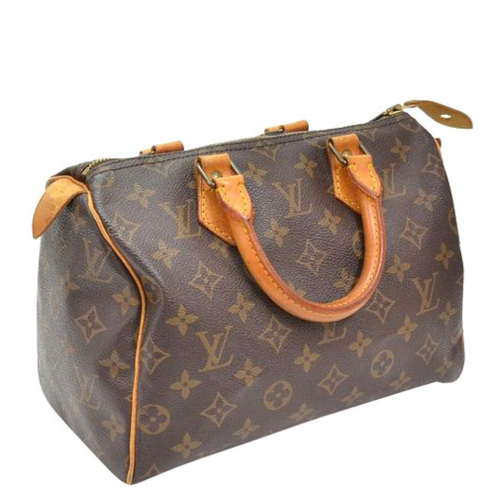 Louis Vuitton Vintage Canvas Speedy 25 City Bag