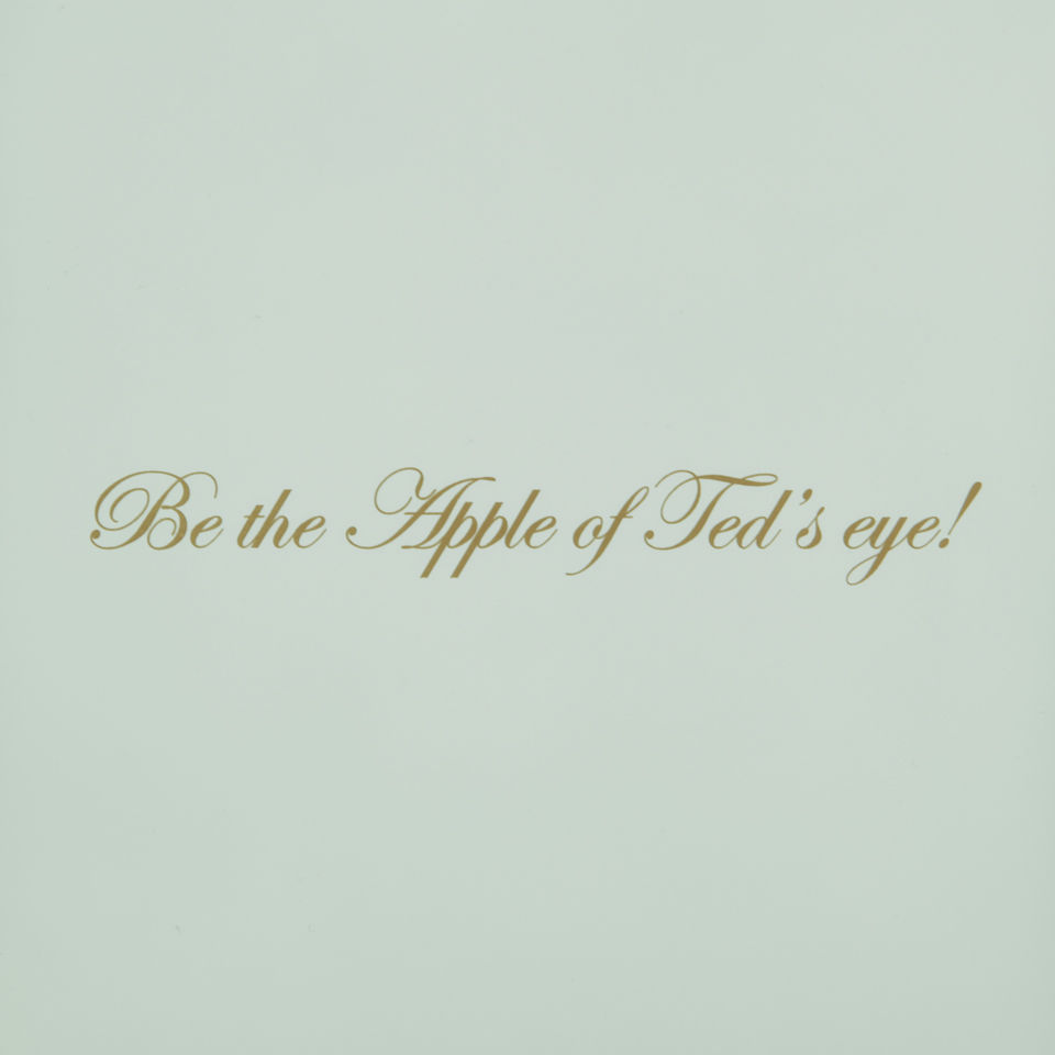 Ted Baker Illia Sugar Sweet iPad Air Case - Pale Green