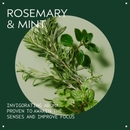 Aveda Rosemary Mint Bath Bar 200g