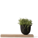 Menu Grow Pot with Wooden Board
