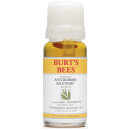 Burt's Bees Anti-Blemish Targeted Spot Treatment