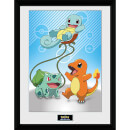 Pokémon Kanto Starters - 16 x 12 Inches Framed Photograph Pokémon Kanto Starters - 16 x 12 Inches Framed Photograph