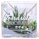 Grow Your Own Terrarium