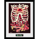 Rick and Morty Anatomy Park 12 x 16 Inches Framed Photograph Rick and Morty Anatomy Park 12 x 16 Inches Framed Photograph