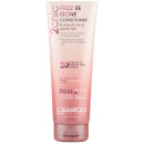 Giovanni 2chic Frizz Be Gone 抗毛躁潤髮乳 250ml