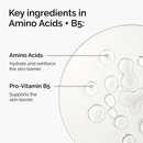 The Ordinary Amino Acids + B5 30ml