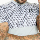 Men's Mixed Fabric Cut And Sew Printed T-Shirt-Silver