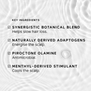 Philip Kingsley Density Stimulating Scalp Toner 150ml