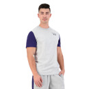 Mens International Short Sleeve Graphic T-Shirt in Grey