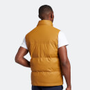 Men's Rubberised Wadded Gilet - Anniversary Gold