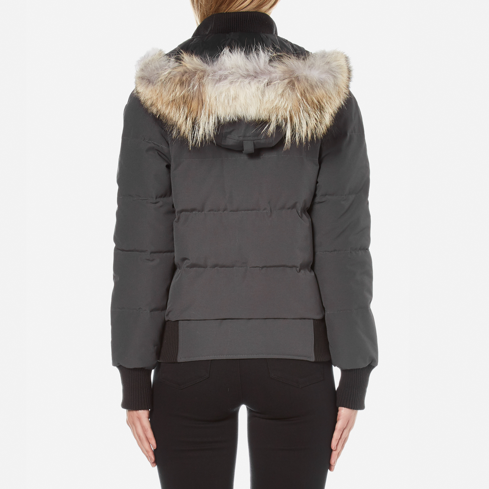 Canada goose savona padded bomber jacket cheap