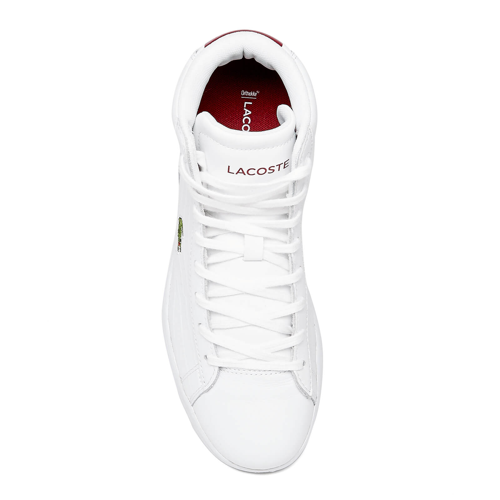 Lacoste women's carnaby evo sneaker store