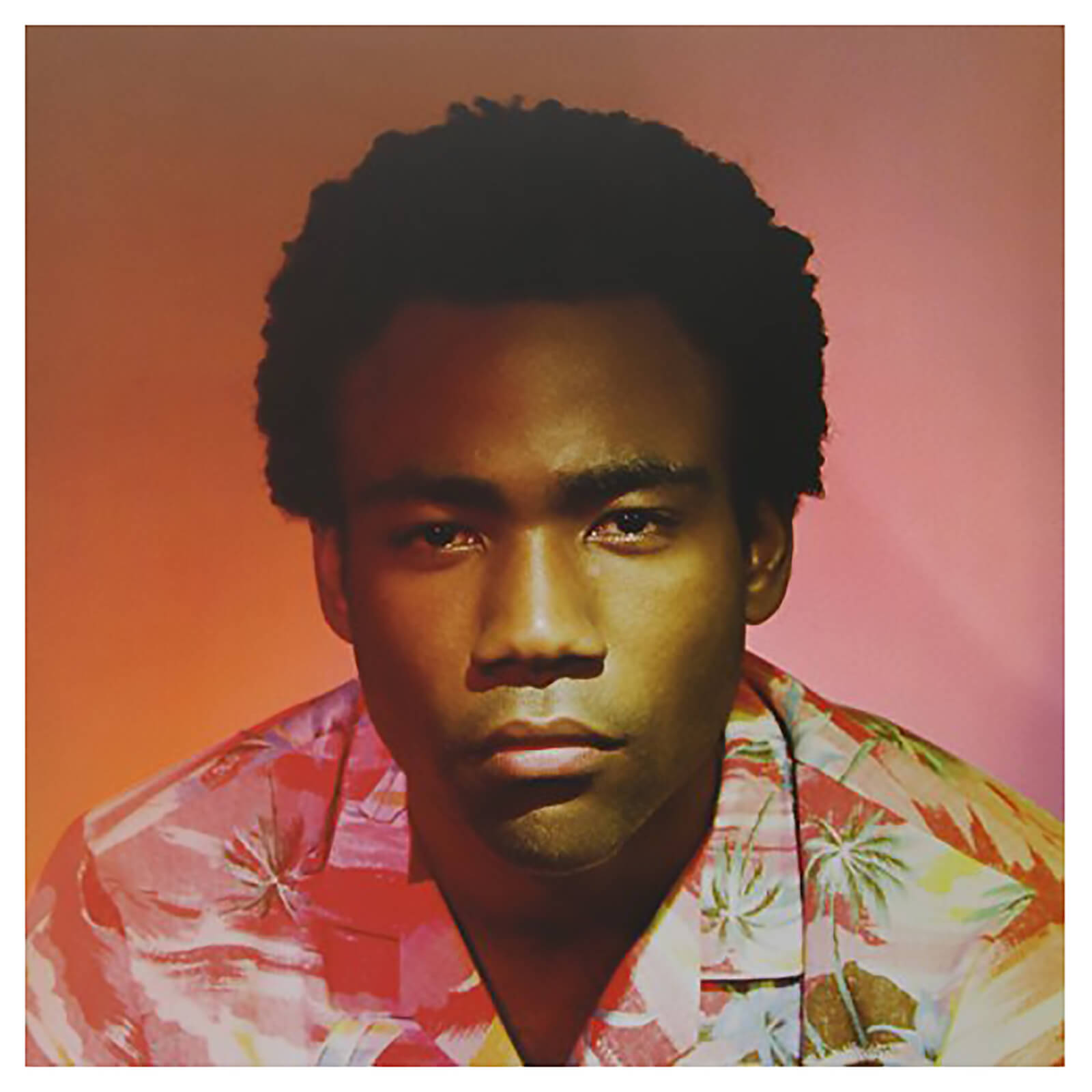 洋楽 CHILDISH GAMBINO because the internet Childish Gambino - Because The Internet - Vinyl