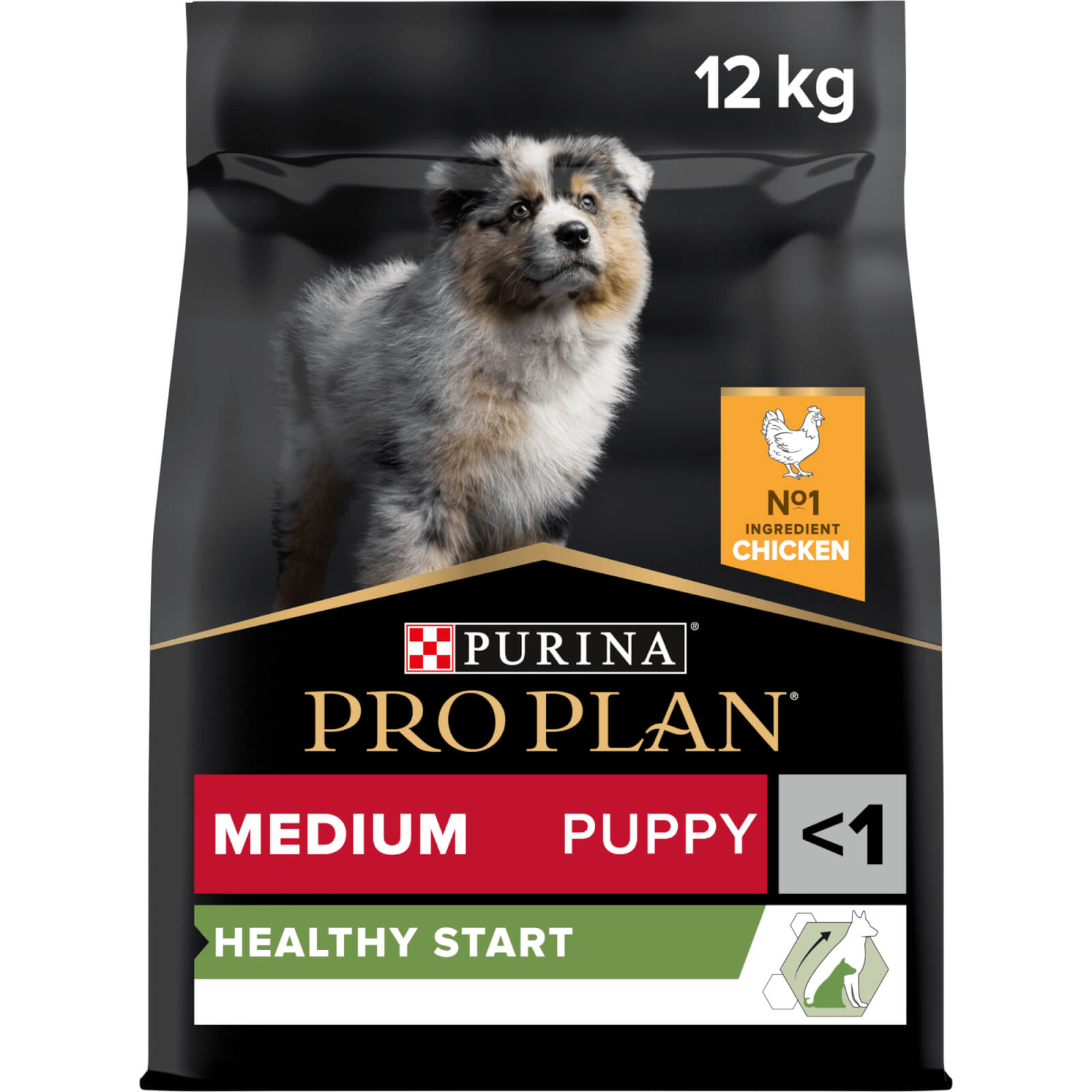 PRO PLAN Medium PUPPY HEALTHY START, reich an Huhn 12kg