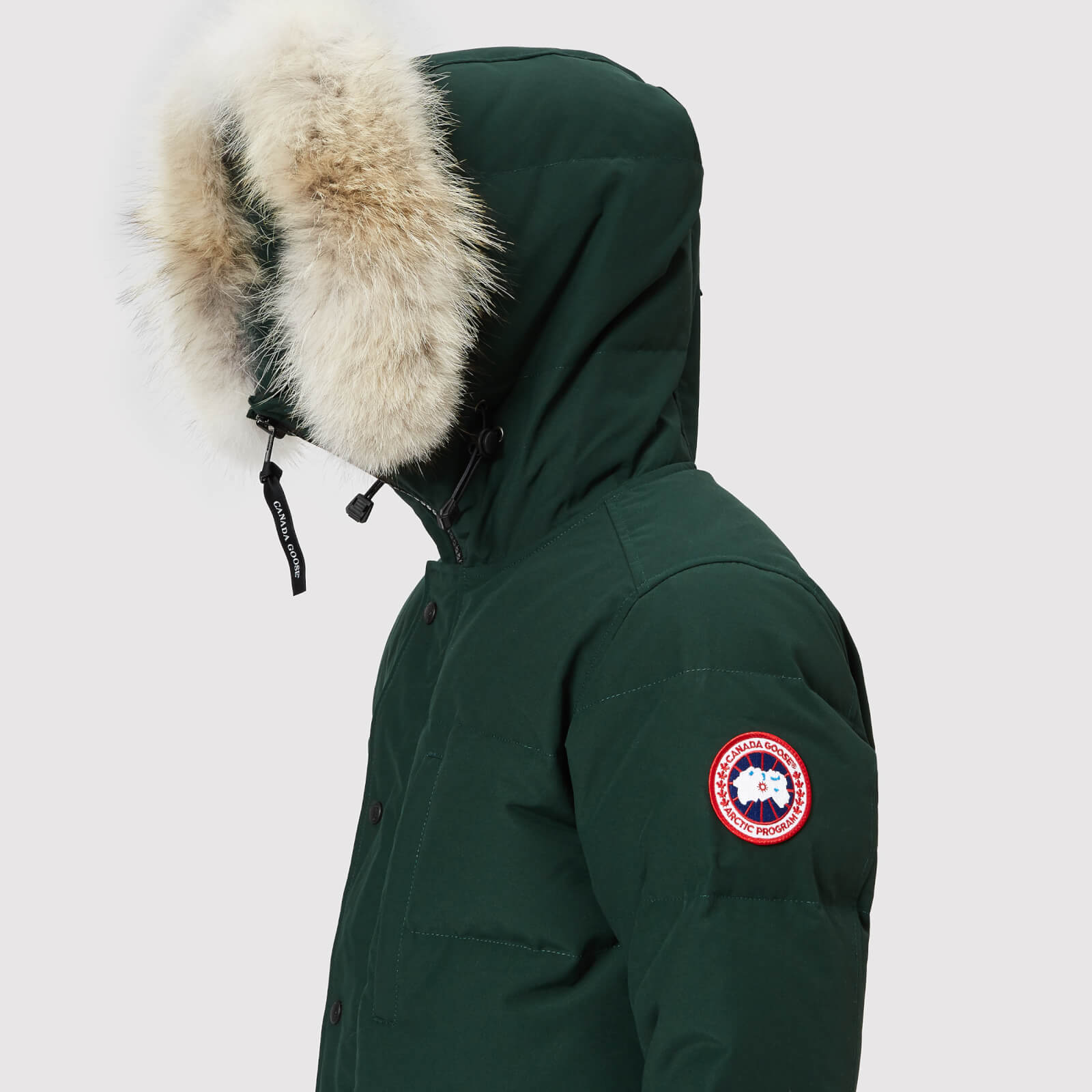 Canada goose spruce color cheap