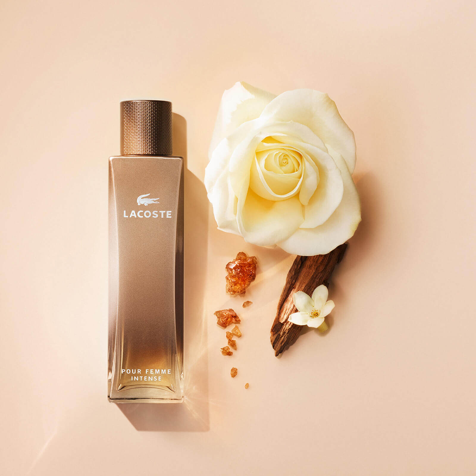 Pour femme intense lacoste 2025
