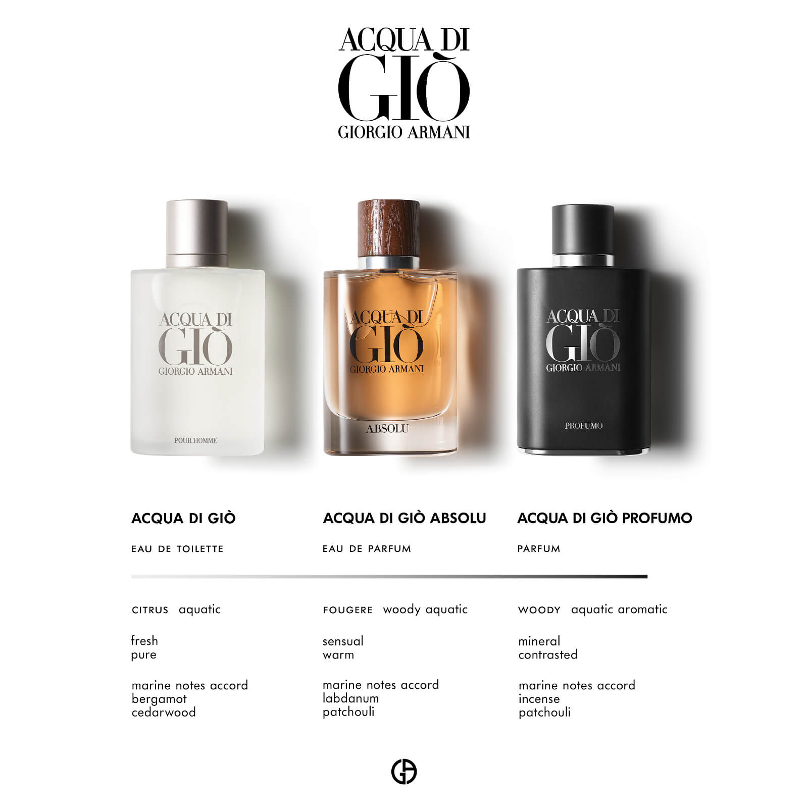 Armani Acqua Di Gio Homme Absolu Eau de Parfum 125ml LOOKFANTASTIC