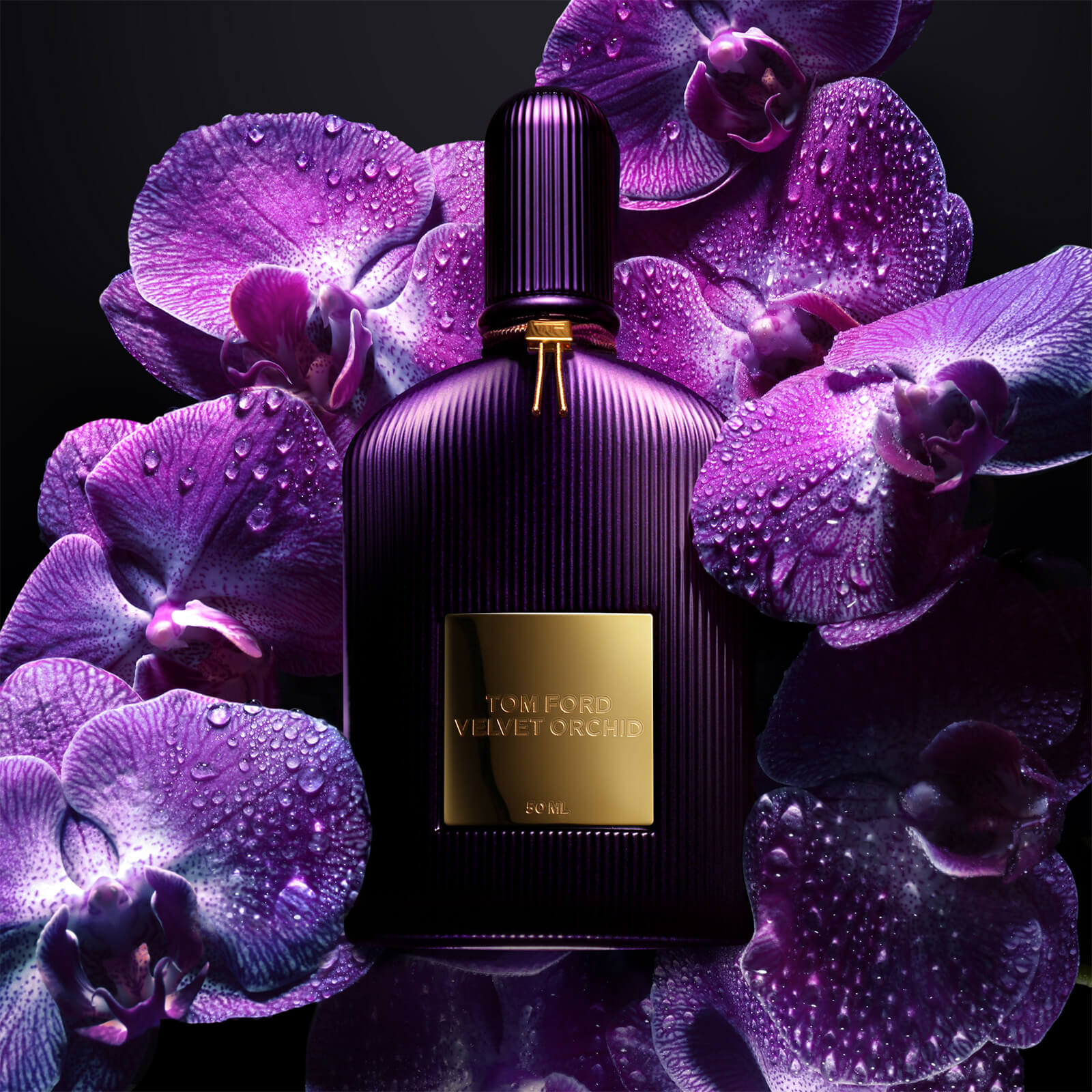 Perfume shop tom ford black orchid sales
