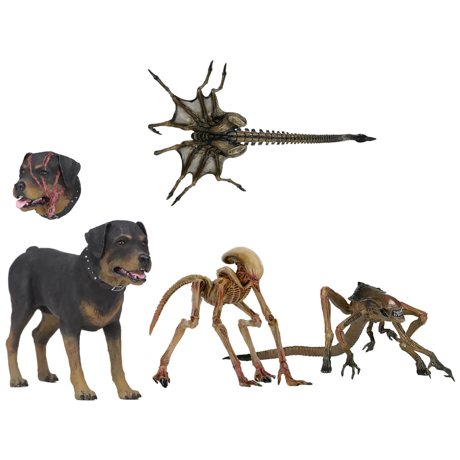NECA Alien 3 - Accessory Pack - Creature Pack | Zavvi UK
