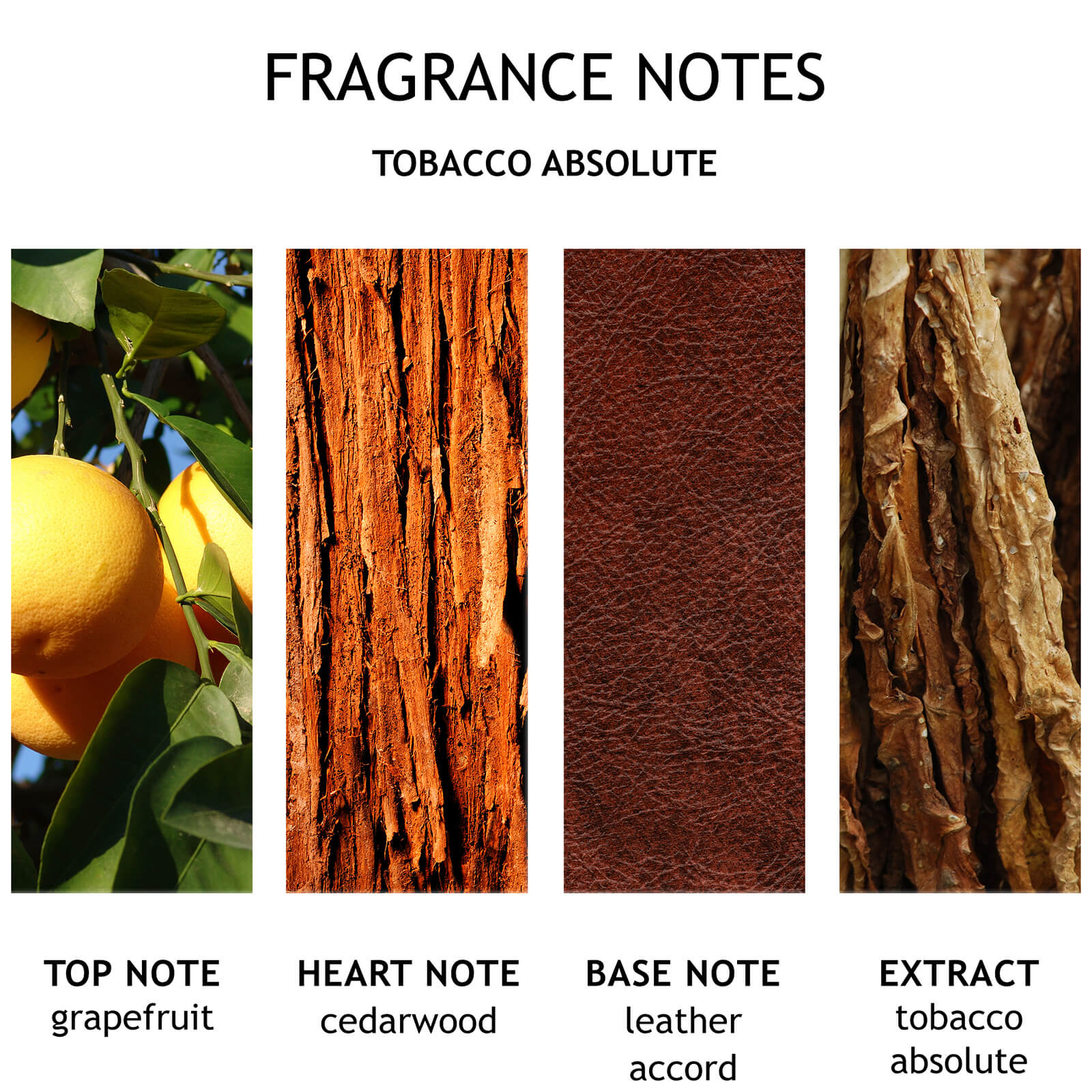 Molton Brown Tobacco Absolute Aroma Reeds