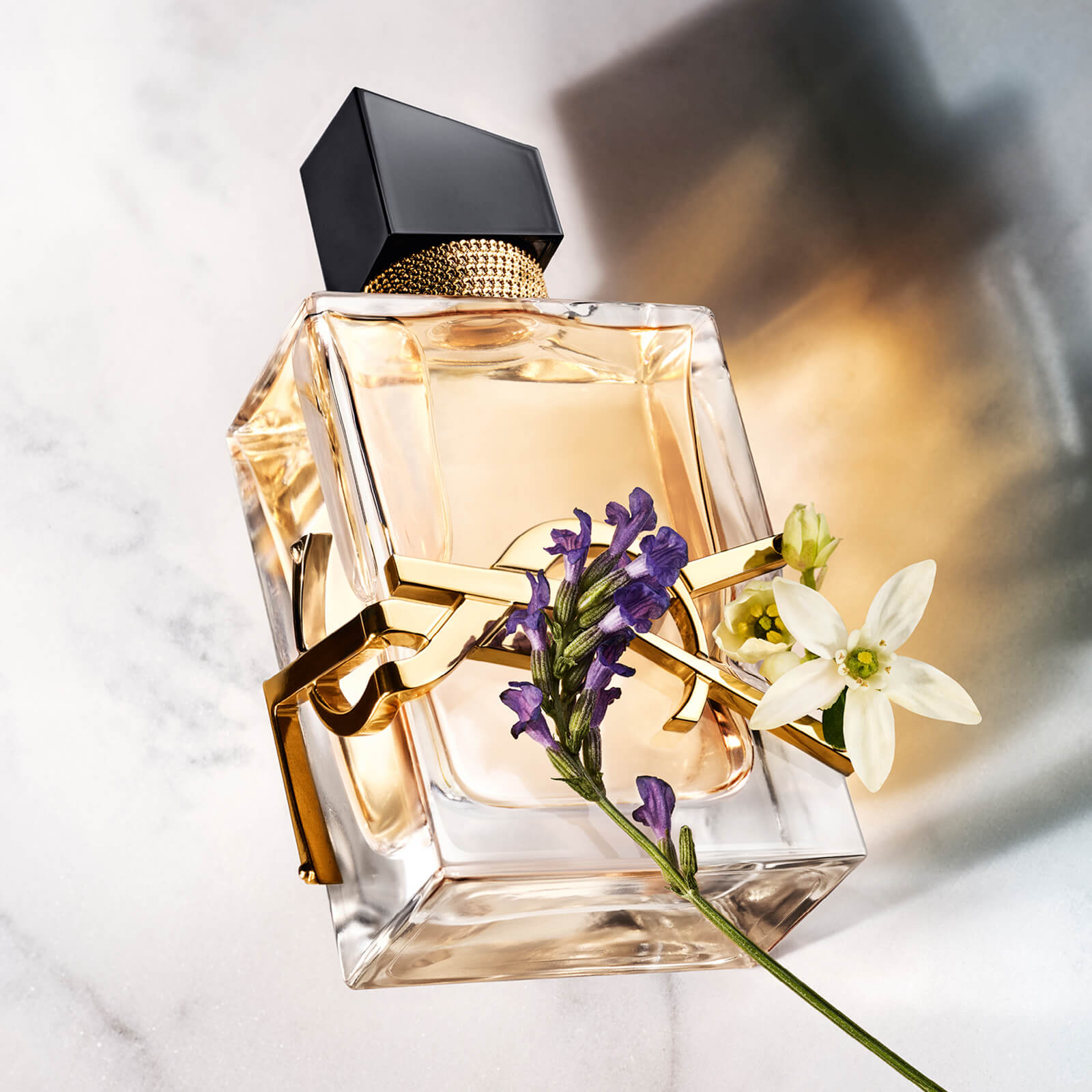 Ys laurent perfume top