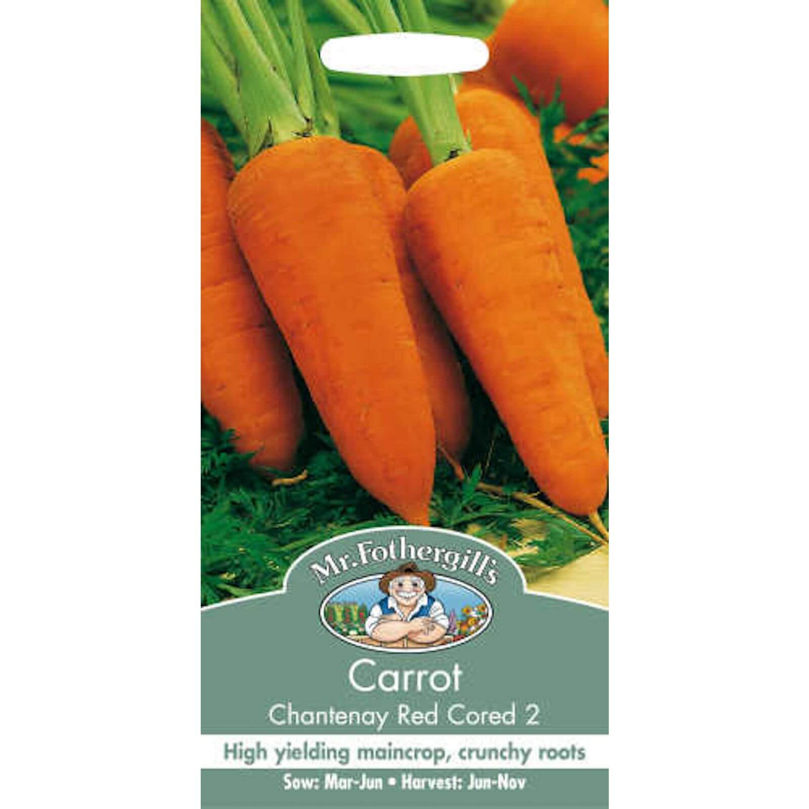 Mr. Fothergill's Carrot Chantenay Red Cored 2 (Daucus Carota) Seeds