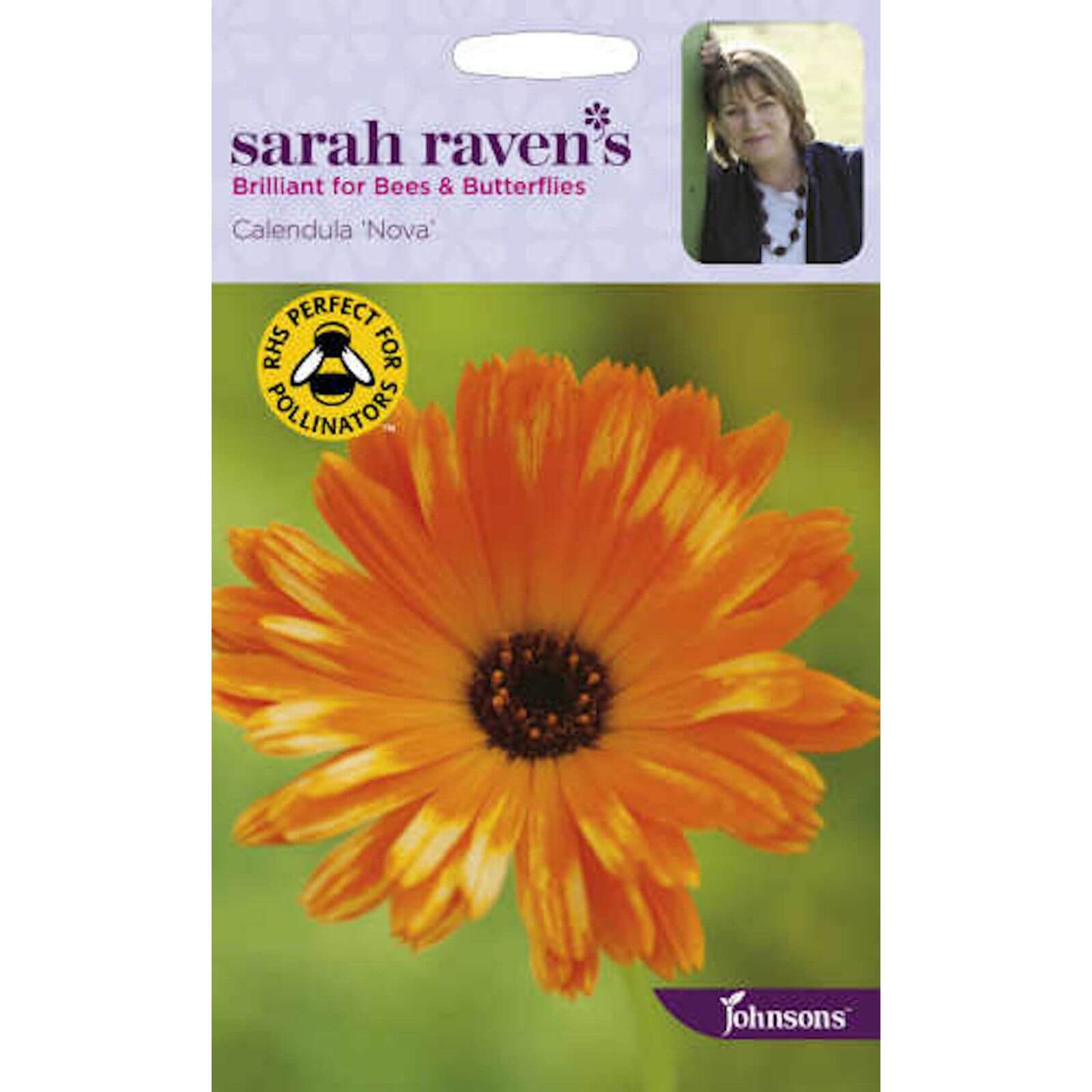 Sarah Ravens Calendula Pot Marigold Nova Seeds
