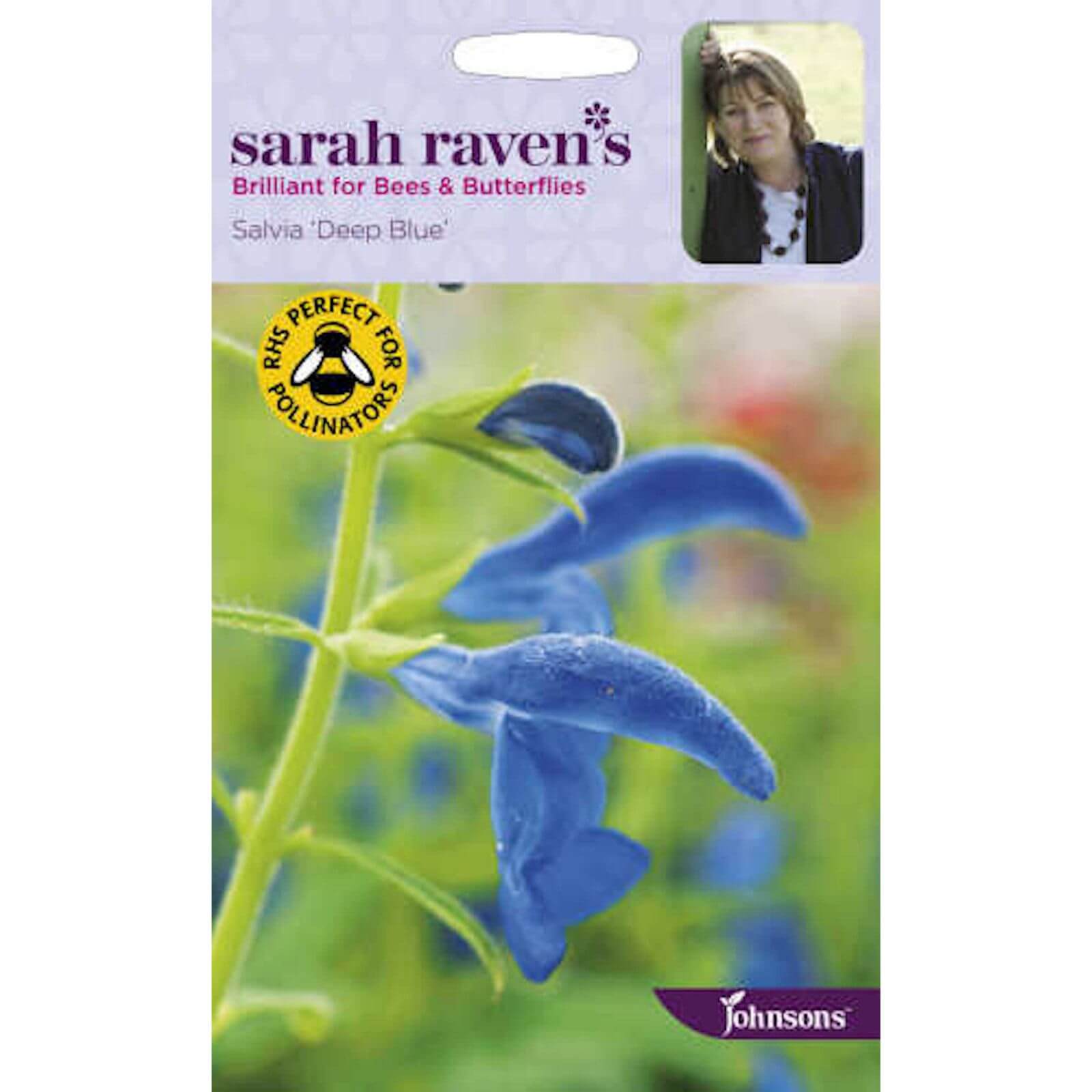 Sarah Ravens Salvia Deep Blue Seeds