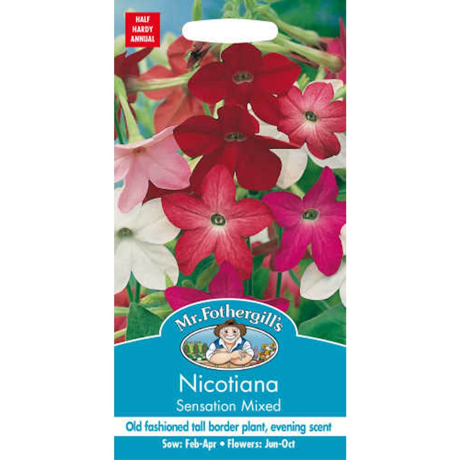 Mr. Fothergill's Nicotiana Sensation Mixed Seeds